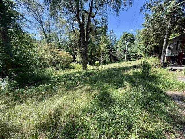 Land for sale in Vershire, Vermont