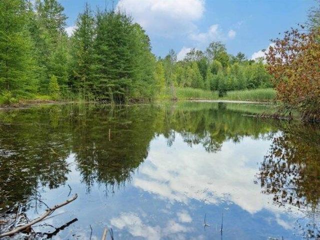 Land for sale in Vershire, Vermont