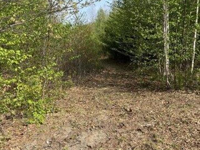 Land for sale in Vienna, Maine