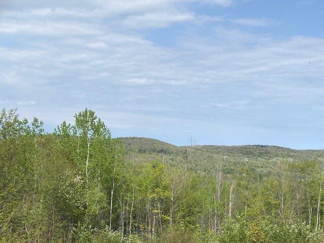 Land for sale in Vienna, Maine