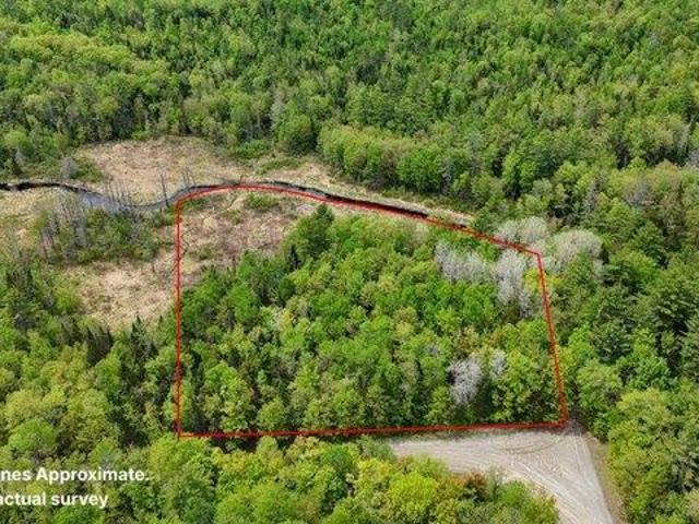 Land for sale in Vienna, Maine