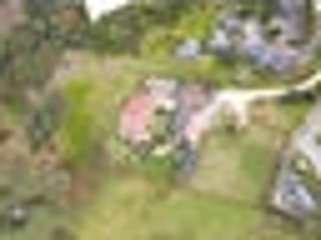 Land for sale in Thames, Waikato
