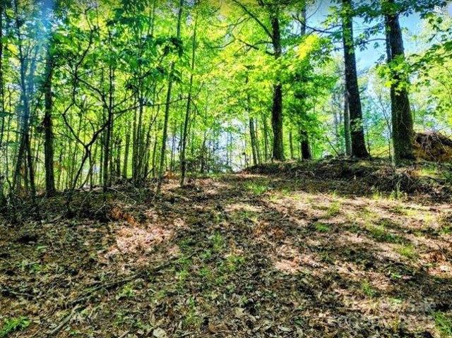 Land for sale in Watauga, North Carolina