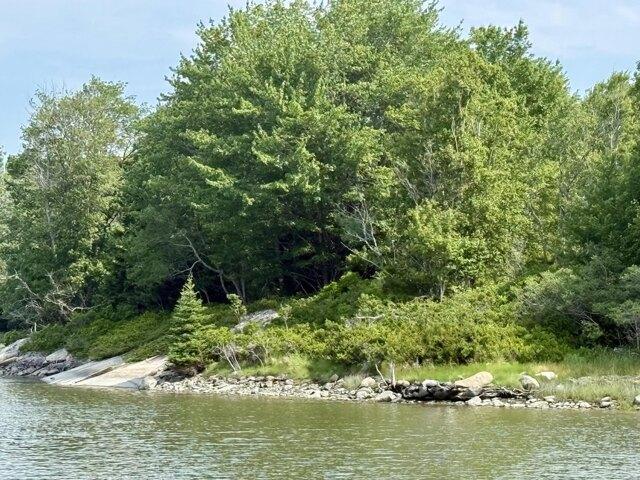 Land for sale in Vinalhaven, Maine