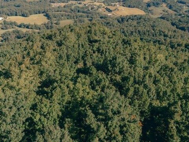 Land for sale in Virginia