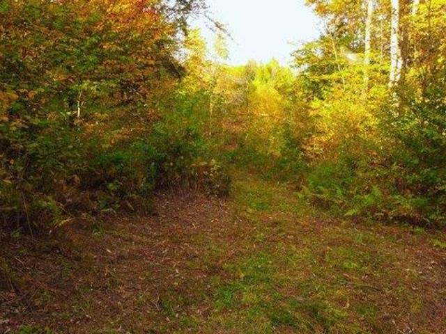 Land for sale in Moretown, Vermont