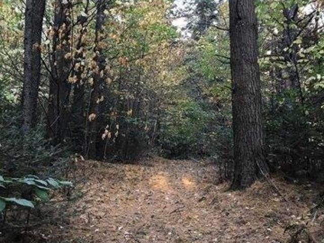 Land for sale in Waitsfield, Vermont