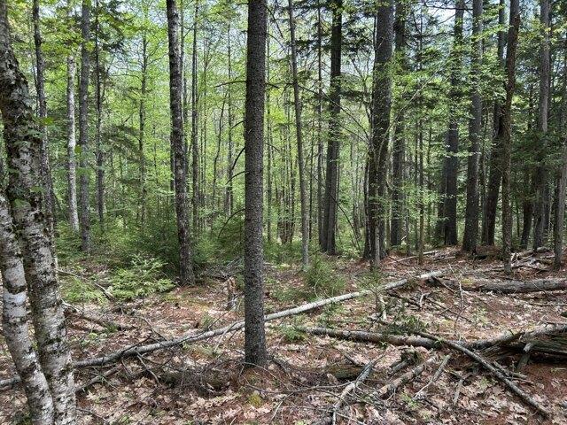 Land for sale in Waldoboro, Maine