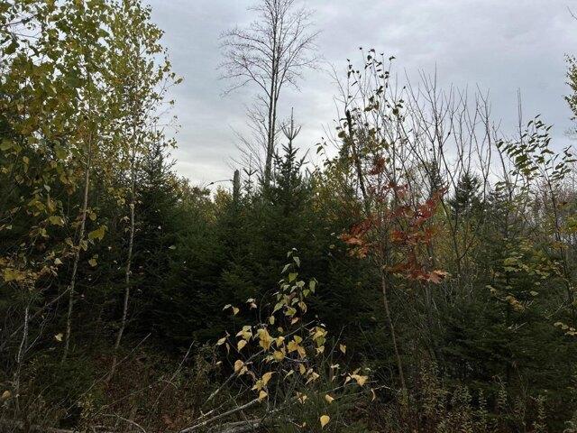 Land for sale in Waldoboro, Maine
