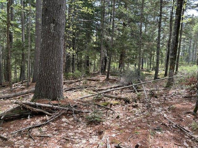 Land for sale in Waldoboro, Maine