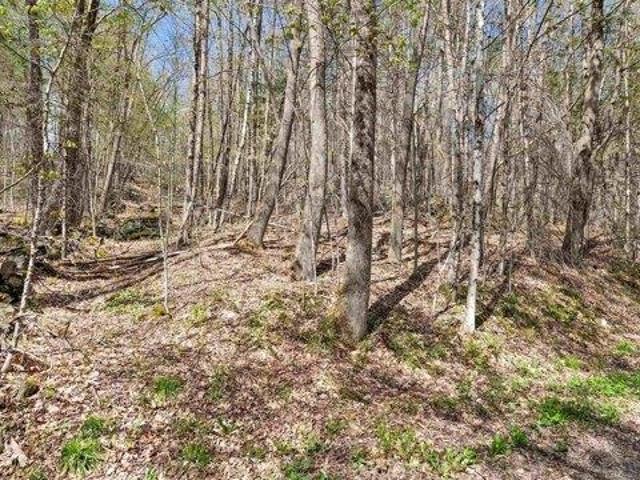 Land for sale in East Wallingford, Vermont
