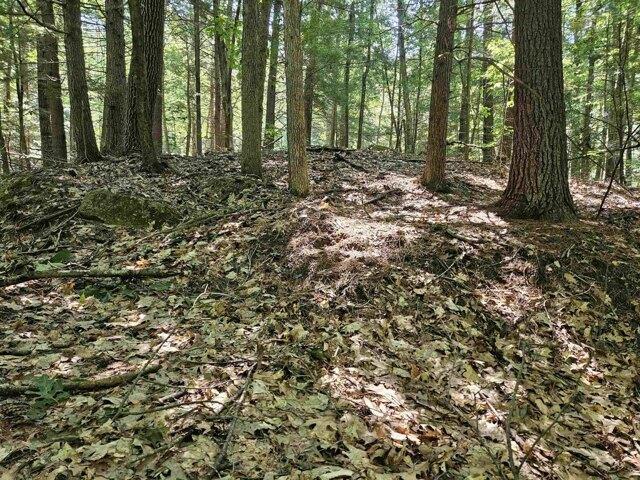 Land for sale in New Hampshire