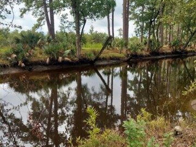 Land for sale in Walterboro, South Carolina