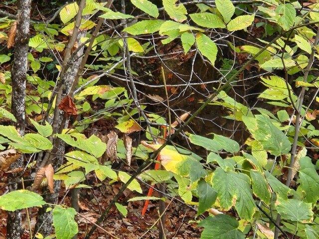 Land for sale in New Hampshire