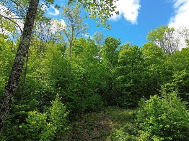 Land for sale in Warren, Vermont