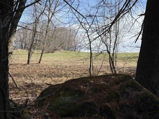 Land for sale in Warren, Vermont