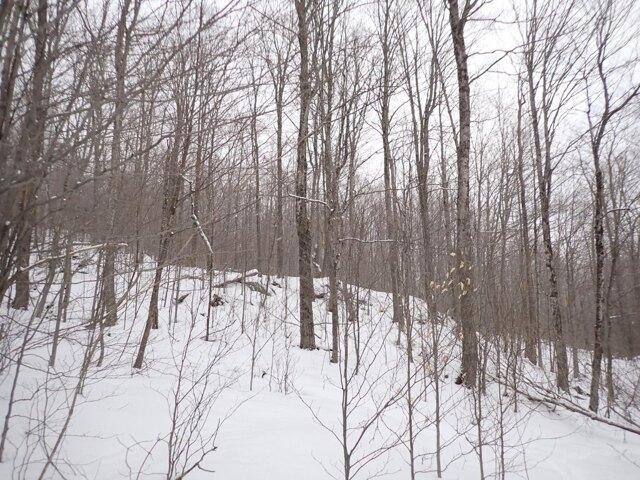 Land for sale in Warren, Vermont