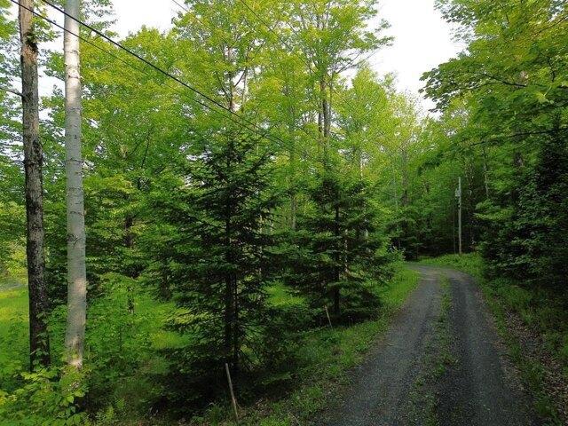 Land for sale in Warren, Vermont