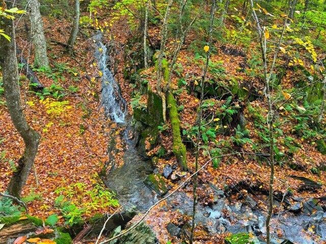 Land for sale in Warren, Vermont
