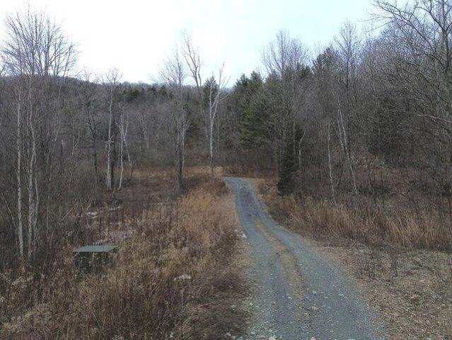 Land for sale in Warren, Vermont