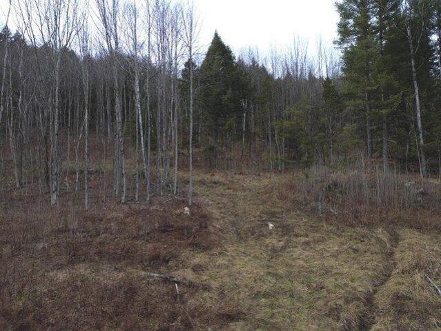 Land for sale in Warren, Vermont