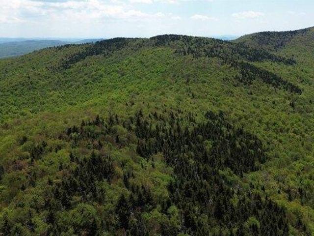 Land for sale in Warren, Vermont