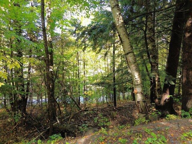 Land for sale in Warren, Vermont