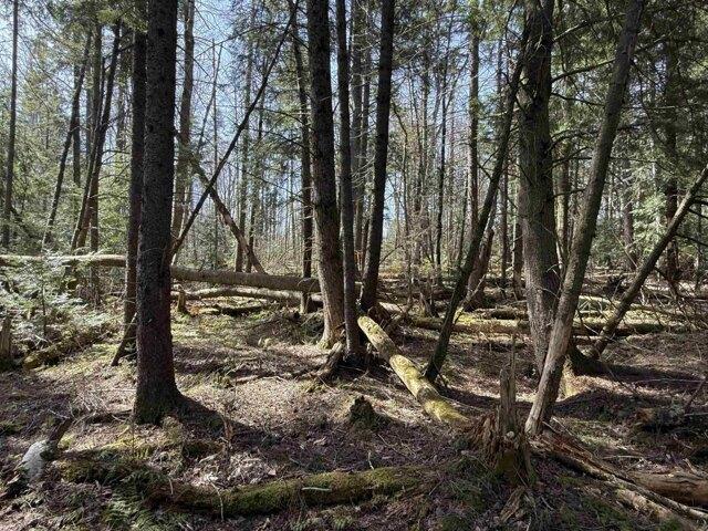 Land for sale in Warren, Vermont