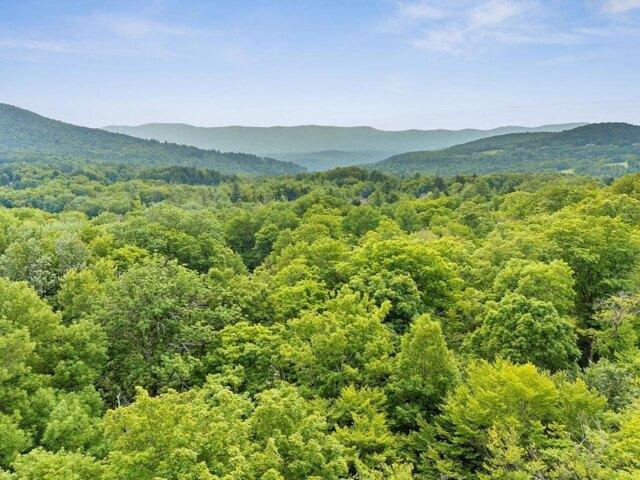 Land for sale in Sugarbush Village, Warren