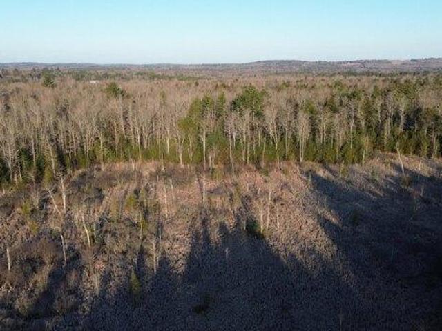 Land for sale in Washington, Maine