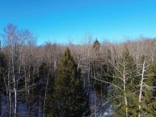 Land for sale in Washington, Maine