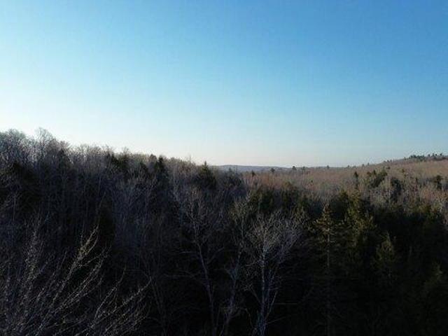 Land for sale in Washington, Maine