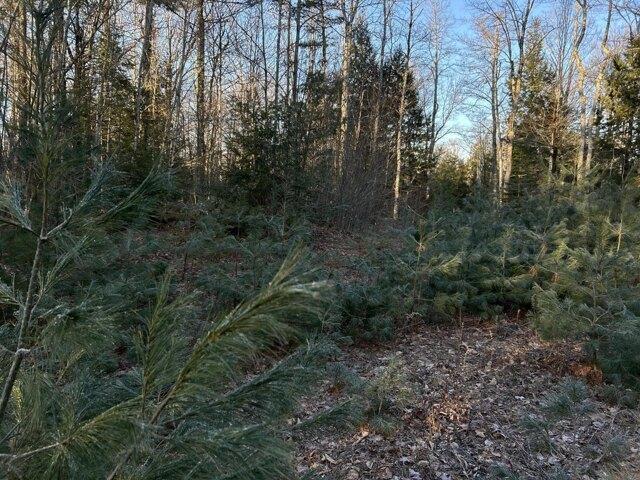Land for sale in Washington, Maine