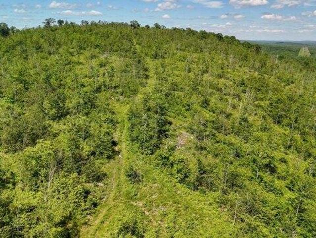 Land for sale in Hibberts Corner, Washington