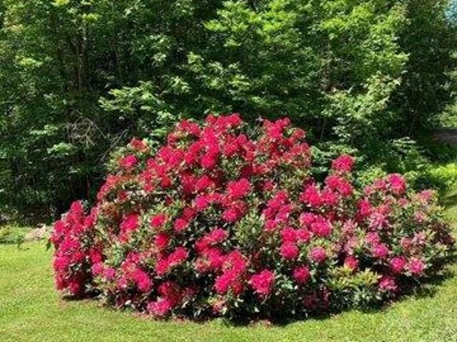 Land for sale in New Hampshire