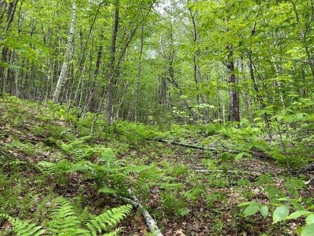 Land for sale in New Hampshire