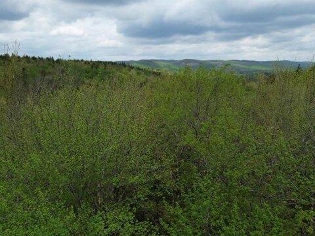 Land for sale in New Hampshire