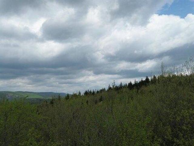 Land for sale in New Hampshire