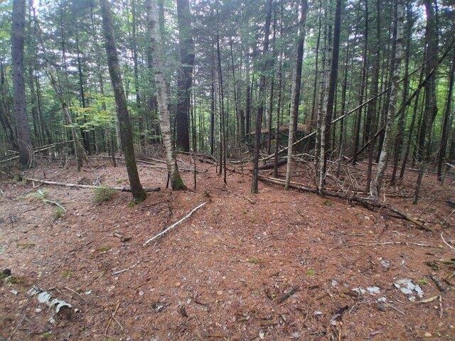 Land for sale in New Hampshire