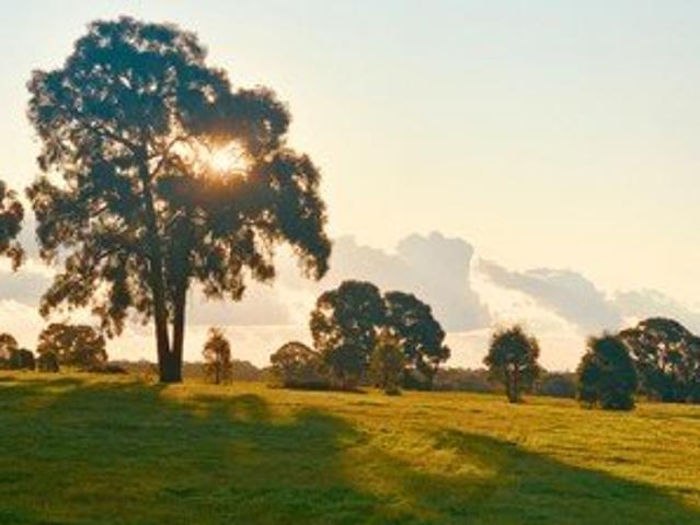 Land for sale in Ladys Pass, Victoria
