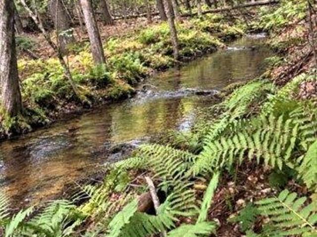 Land for sale in Waterboro, York County
