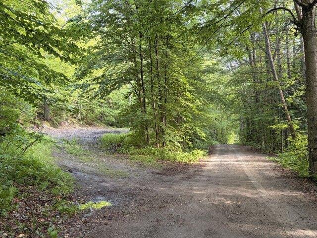 Land for sale in Waterford, Maine
