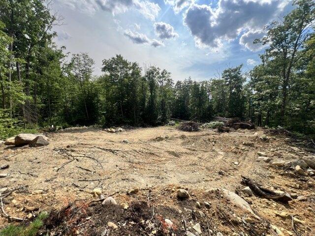 Land for sale in Waterford, Maine