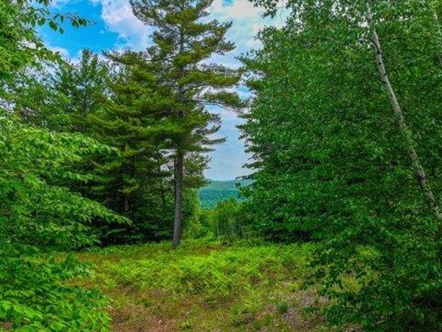 Land for sale in Waterford, Maine