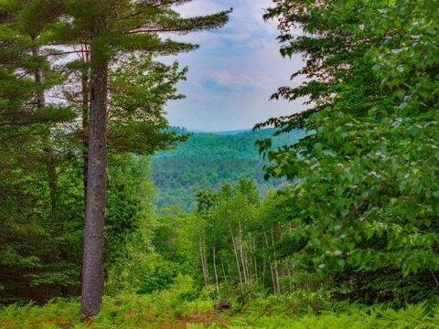 Land for sale in Waterford, Maine