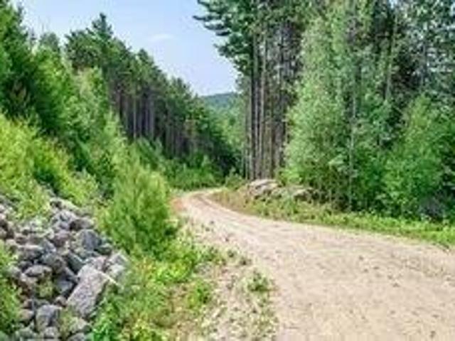 Land for sale in Waterford, Maine