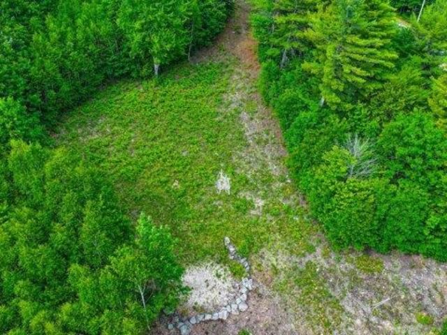 Land for sale in Waterford, Maine
