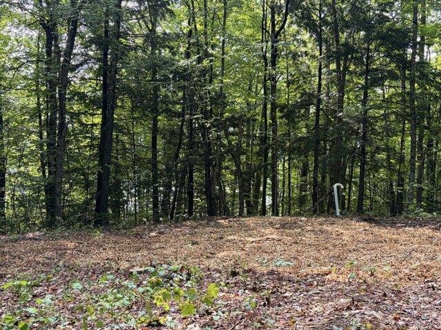 Land for sale in Waterford, Maine