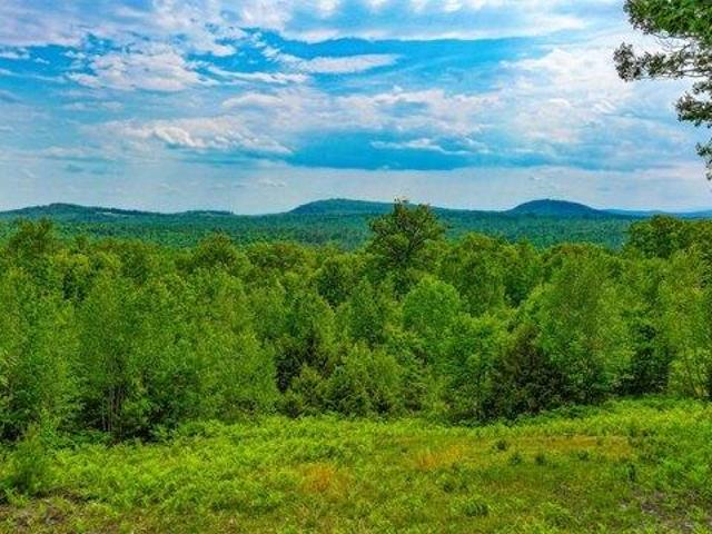 Land for sale in Waterford, Maine