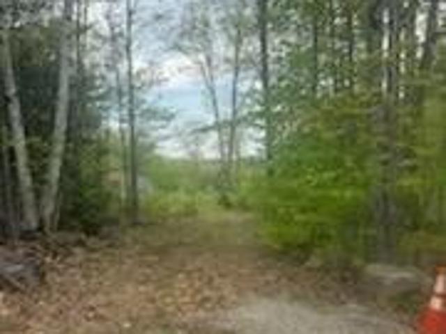Land for sale in Waterford, Maine